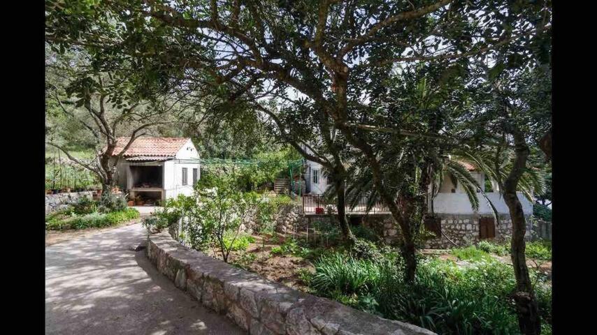 Villa Franic Саплунара Екстериор снимка